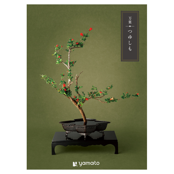 �J�^���O�M�t�g ���t �䂵��